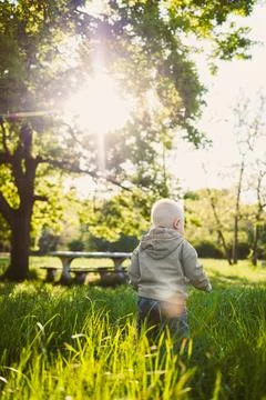 Child walks through tall grass under trees in a park during golden hour wit.. 写真素材