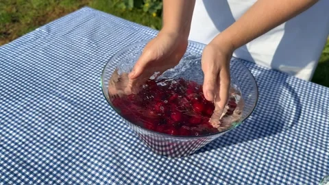 Child Washing Cherries Stock Footage 313866650