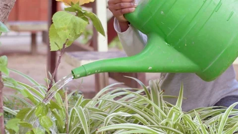 Child watering plants with big green watering spout Stock Footage 81203853