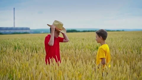 Child in wheat field Stock Footage 135602955