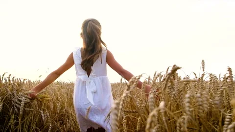 A child in a wheat field. Selective focus. Nature. Stock Footage 160101213