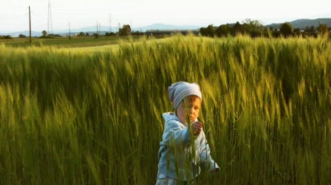 Child in wheat Stock Footage 759490