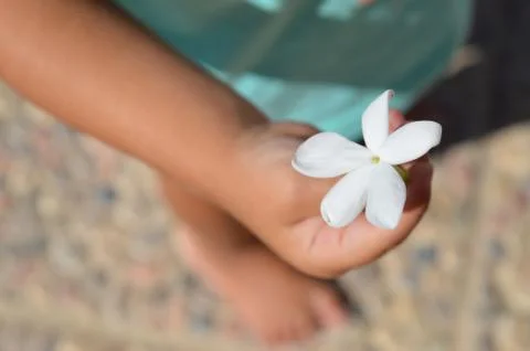 Child with white flower Stock Photos