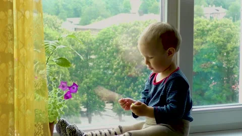 A child by the window is studying a flower Stock Footage 137964128