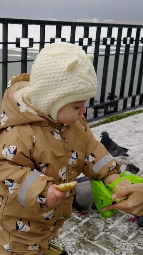 Child in winter attire joyfully interacts with pigeons, feeding them from a 動画素材 331153569