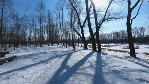 A child on a winter walk Stock Footage 149499114