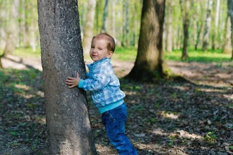 Child in the woods Stock Photos