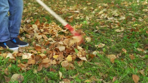 Child working in the garden Stock Footage 98510896