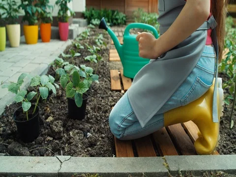 Child working on kitchen garden Video stock 83922503