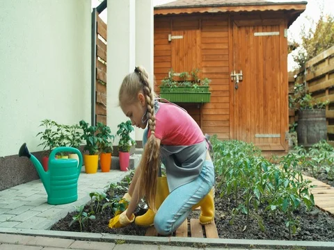 Child working with soil Stock Footage 85303578