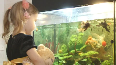 Child5 Stock Footage 2526191