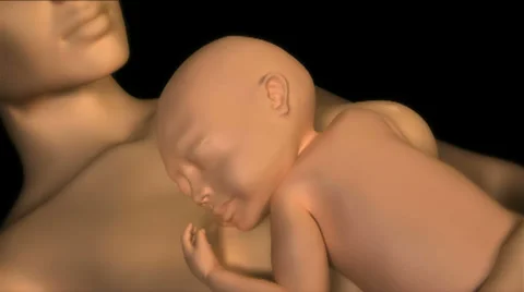 Childbirth Stock-Footage 29774194