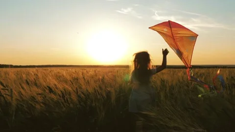 Childhood dream. Happy girl run with a kite in a field of wheat. Child is Stock Footage