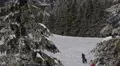 Children Adults People Skiing Snowboarding Winter Mountain Slope Track Path Snow HD Footage