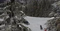 Children Adults People Skiing Snowboarding Winter Mountain Slope Track Path Snow 4k or 4k+ Resolution