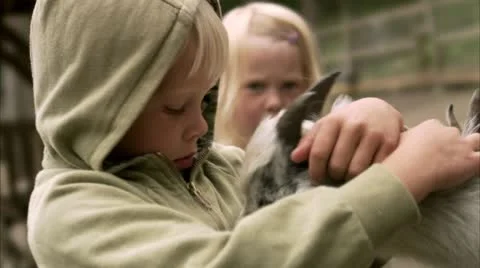 Children and goats at the zoo Stock Footage