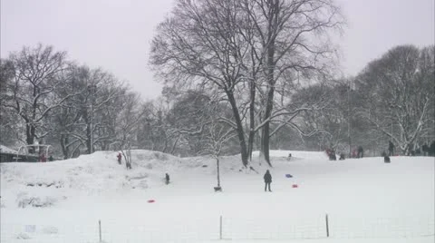 Children and grownups playing in a wintry park, Stockholm Stock Footage 11290695