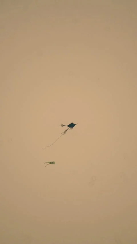 Kids Flying Kites Stock Videos – Royalty-Free HD & 4K Videos | Pond5