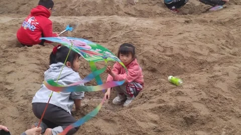 The children are playing and digging sand pits Stock Footage 301179119