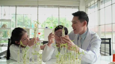 Children are studying science in school lab, concept of education Stock Footage 154187213