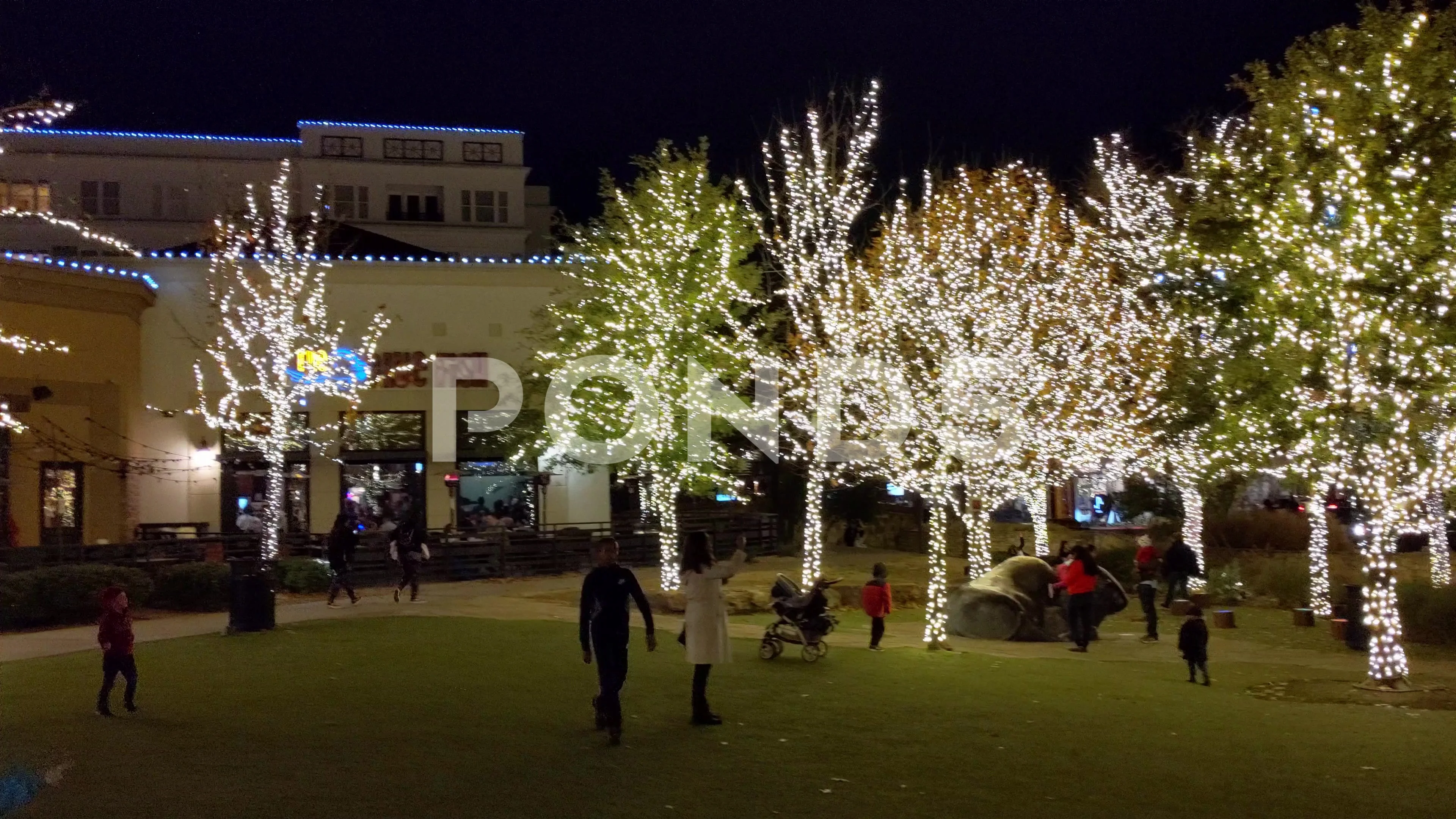 Watters Creek Christmas Tree Lighting 2022 Children Around Christmas Tree & Lighted... | Stock Video | Pond5