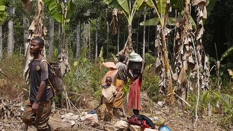 Children back from field work Stock Footage 80554443