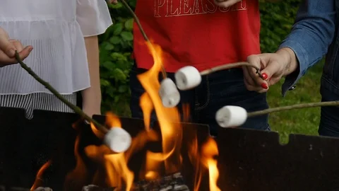Children bake marshmallows on fire Stock-Footage 115522924