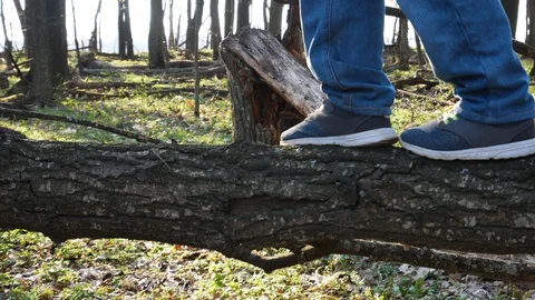 Children balancing on tree trunks Video stock 129192183
