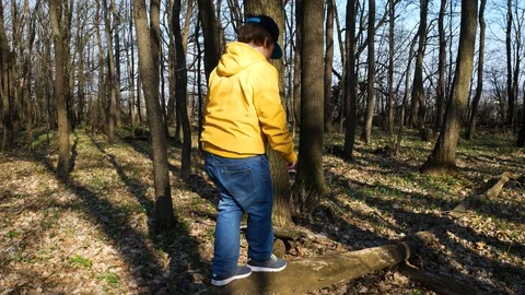 Children balancing on tree trunks Video stock 129192612
