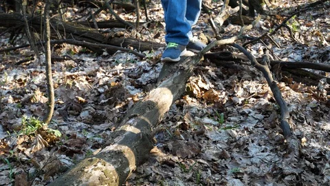 Children balancing on tree trunks 스톡 동영상 129192767