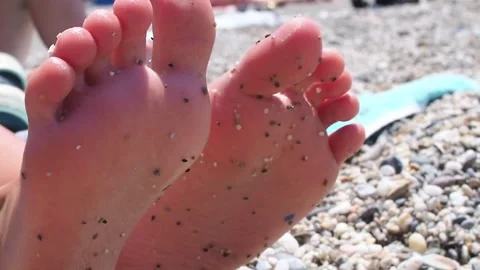 A children bare feet on a pebble beach Stock-Footage 281780147