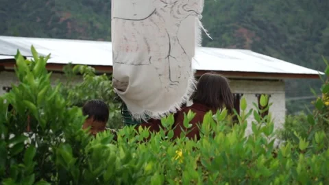 Children of Bhutan Video stock 161582723