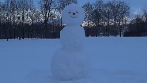 Children blinded a snowman. Video stock 168104581
