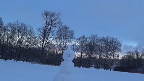 Children blinded a snowman. Video stock 168104601