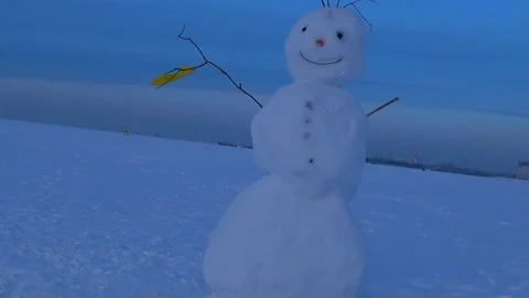 Children blinded a snowman. Video stock 168157394