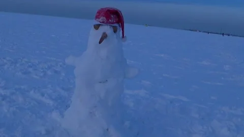 Children blinded a snowman. Video stock 168157410