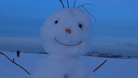 Children blinded a snowman. Video stock 168157478