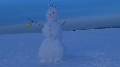 Children blinded a snowman. Video stock 168157660
