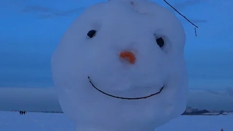 Children blinded a snowman. Video stock 168157683