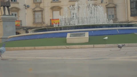 Children break the pigeons Stock Footage 87199700