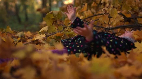 Children catch leaves Stock Footage 57071997