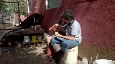 CHILDREN WITH CHICKENS Video stock 154431328