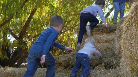 Children Climbing On A Haystack Stock-Footage 135607816