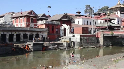 The children collect things from dead people Stock Footage 59117305