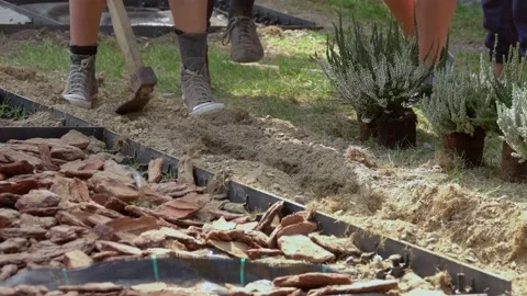 Children constructing a path, in the sensory garden, made  of diferent materials 動画素材 139742912