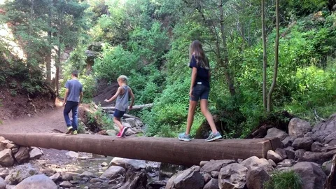 Children cross a river, walking on log HD Stock-Footage 80237526