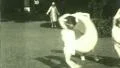 CHILDREN DANCING Ballet Performance Dance 1930s 20s Vintage Film Home Movie HD Footage