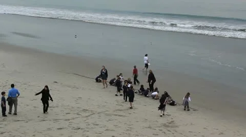 Children diggin on the beach Video stock 20512187