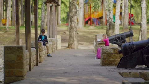 Children with a dog draw by the river Stock Footage 125164240