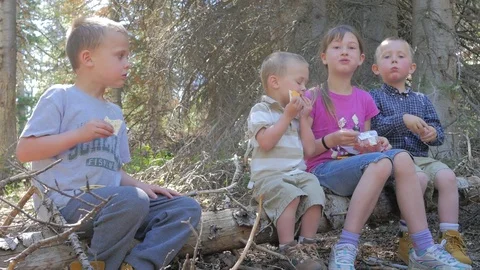 Children eating a snack while out in the forest on a hike. Stock Footage 76727733